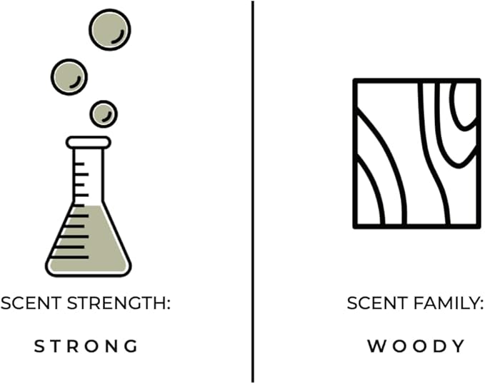 Luxury Reed Diffuser| True Hue | 3.75 fl oz | Glass and Rattan | Lasts for 2-3 Months | Fragrance Diffusers for Home | Handmade in USA (Woods)