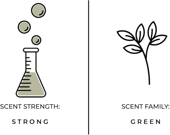 Luxury Reed Diffuser| True Hue | 3.75 fl oz | Glass and Rattan | Lasts for 2-3 Months | Fragrance Diffusers for Home | Handmade in USA (Forest Fern)