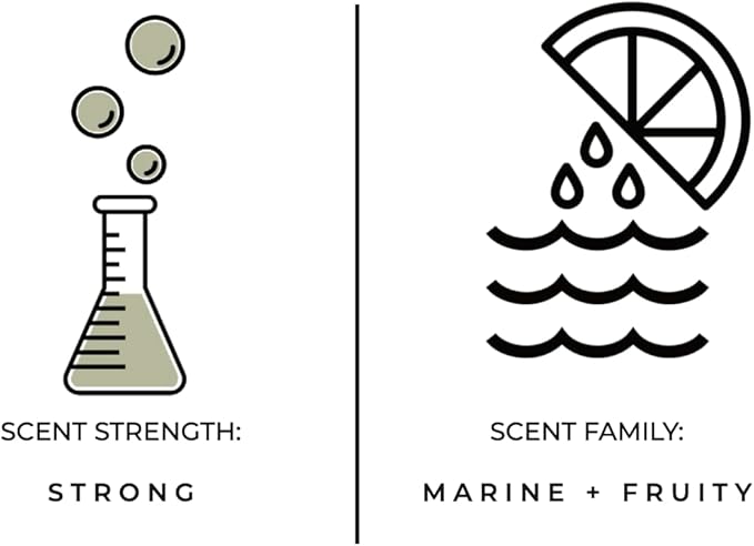 Luxury Reed Diffuser| True Hue | 3.75 fl oz | Glass and Rattan | Lasts for 2-3 Months | Fragrance Diffusers for Home | Handmade in USA (Skinny Dipping)