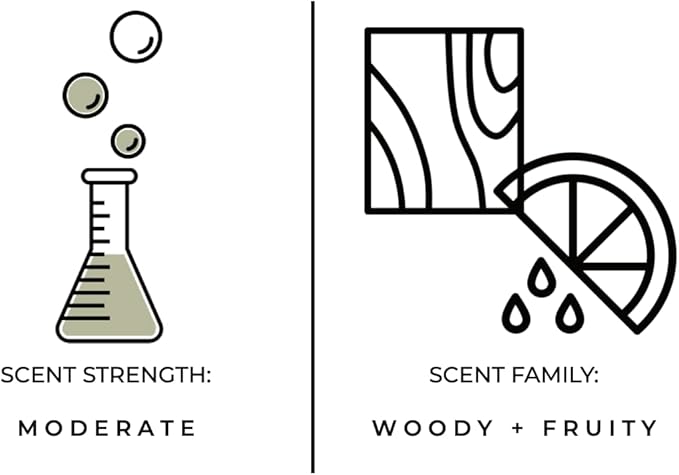 Luxury Reed Diffuser| True Hue | 3.75 fl oz | Glass and Rattan | Lasts for 2-3 Months | Fragrance Diffusers for Home | Handmade in USA (Twilight)