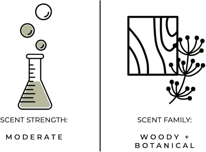 Luxury Reed Diffuser| True Hue | 3.75 fl oz | Glass and Rattan | Lasts for 2-3 Months | Fragrance Diffusers for Home | Handmade in USA (Santal)