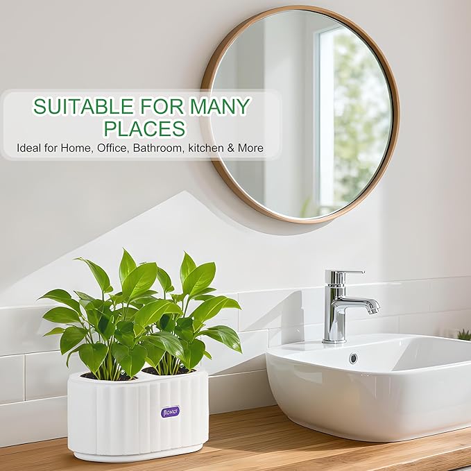 HOSUN 4 inch Two Planting Holes Self Watering Pots for Indoor Plants, Flower Plant Pots with Drainage Holes and Clear Reservoirs, Plastic Planters with Wicking Rope, White