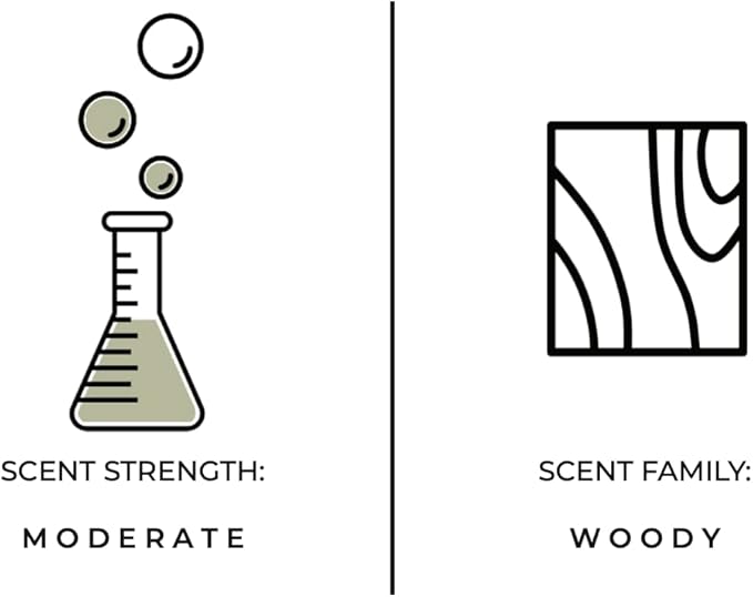 Luxury Reed Diffuser| True Hue | 3.75 fl oz | Glass and Rattan | Lasts for 2-3 Months | Fragrance Diffusers for Home | Handmade in USA (Dried Cedar + Moss)