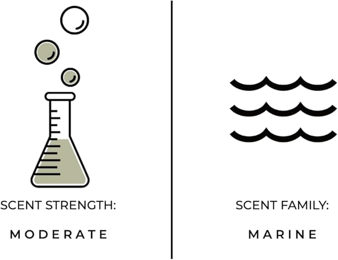 Luxury Reed Diffuser| True Hue | 3.75 fl oz | Glass and Rattan | Lasts for 2-3 Months | Fragrance Diffusers for Home | Handmade in USA (Lagoon)