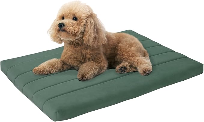 BALANCE Dog Crate Bed, Orthopedic Dog Bed Pad with Waterproof Liner, Washable Crate Foam Pet Mat for Large, Medium, Puppy Dogs Breeds, Mint Leaf, 30"x19"x1.6"