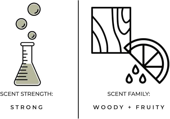 Luxury Reed Diffuser| True Hue | 3.75 fl oz | Glass and Rattan | Lasts for 2-3 Months | Fragrance Diffusers for Home | Handmade in USA (Stargazing)