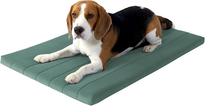 BALANCE Dog Crate Bed, Orthopedic Dog Bed Pad with Waterproof Liner, Washable Crate Foam Pet Mat for Large, Medium, Puppy Dogs Breeds, Mint Leaf, 36“x23”x1.6“