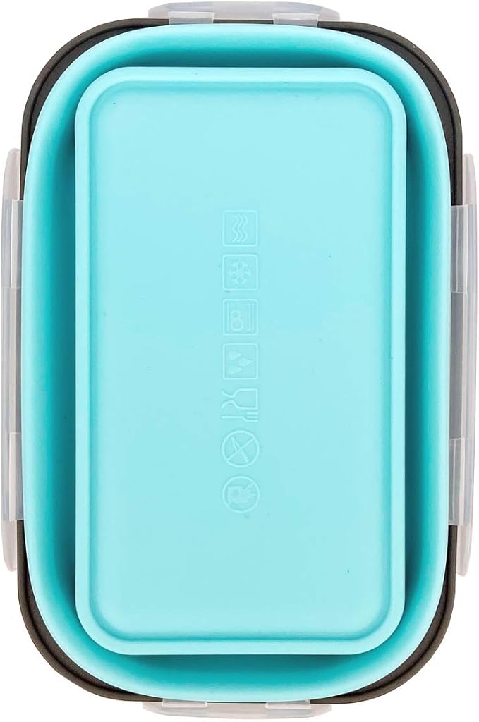 CARTINTS Set of 3 Collapsible Food Storage Containers with Lids, Collapsible Silicone Bowls, Silicone Lunch Containers, For Meal Prep, Camping, Travel, Microwave and Freezer Safe,500ml,Blue