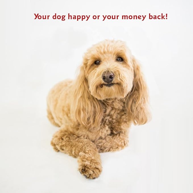 Majestic Pet Rectangle Medium Dog Bed Washable – Non Slip Comfy Pet Bed – Dog Crate Bed Super Value Pillow Dog Bed – Dog Kennel Bed for Sleeping - Dog Bed Medium Breed 35 x 28 Inch – Villa Marine