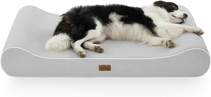 Orthopedic Dog Bed for Extra Large Dogs up to 140 lbs - Removable Washable Cover with Waterproof Lining, Cotton-Polyester Blend Boat-Shaped Lounger Mattress, XL(51x36x8in), Light Gray