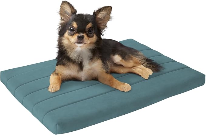 BALANCE Dog Crate Bed, Orthopedic Dog Bed Pad with Waterproof Liner, Washable Crate Foam Pet Mat for Large, Medium, Puppy Dogs Breeds, Powder Blue, 24"x18"x1.6"