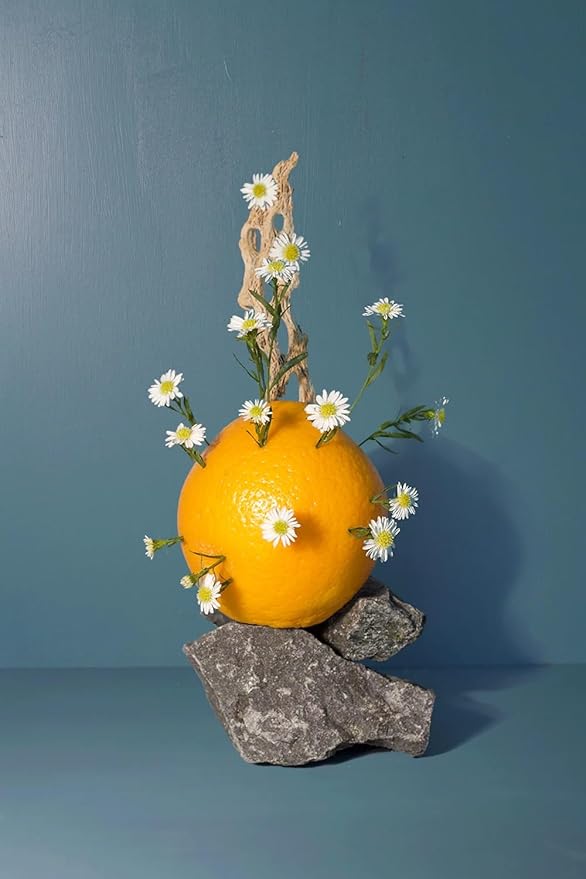 Luxury Reed Diffuser| True Hue | 3.75 fl oz | Glass and Rattan | Lasts for 2-3 Months | Fragrance Diffusers for Home | Handmade in USA (Lagoon)