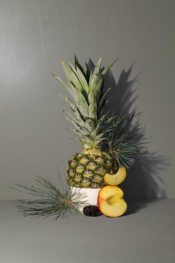 Luxury Reed Diffuser| True Hue | 3.75 fl oz | Glass and Rattan | Lasts for 2-3 Months | Fragrance Diffusers for Home | Handmade in USA (Skinny Dipping)