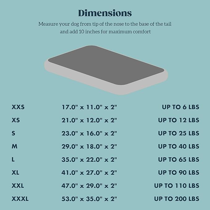Stoutwool Indestructible Dog Bed - Fluffy Chew Proof Dog Crate Pad - Tough Kennel Pad for Aggressive Chewers - Washable, Ideal for Toy Breeds & Fits 18-Inch Crate - 17"x11", Charcoal