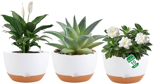 3 Pack Self Watering Planters for Plants Indoor,10 Inch Plant Pot Outdoor Plastic Flower Pot with Drainage and Saucers(White)