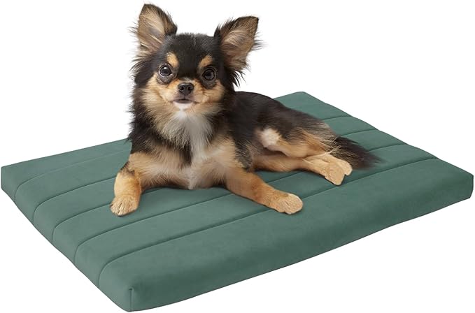 BALANCE Dog Crate Bed, Orthopedic Dog Bed Pad with Waterproof Liner, Washable Crate Foam Pet Mat for Large, Medium, Puppy Dogs Breeds, Mint Leaf, 24"x18"x1.6"
