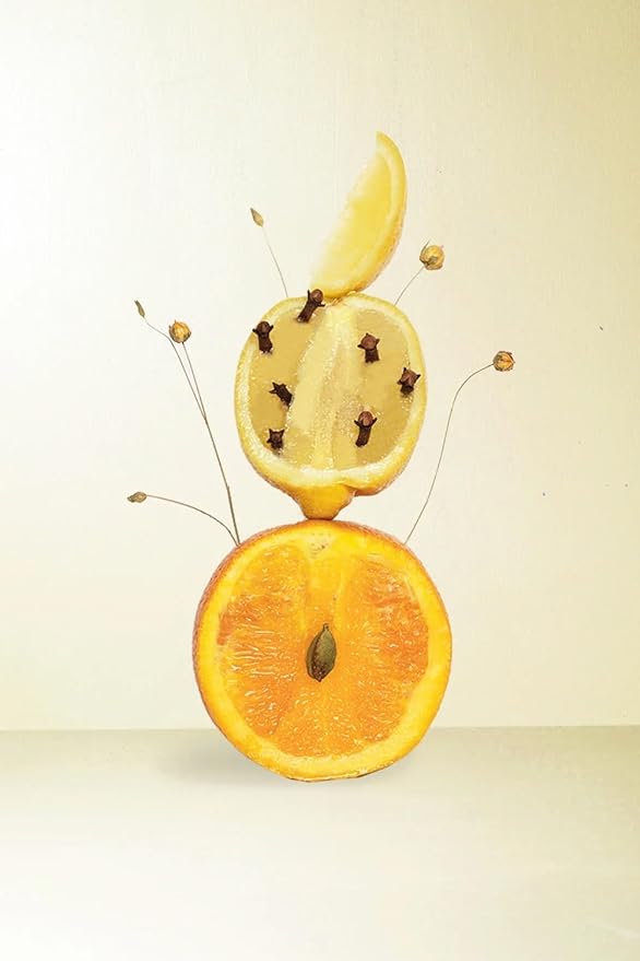 Luxury Reed Diffuser| True Hue | 3.75 fl oz | Glass and Rattan | Lasts for 2-3 Months | Fragrance Diffusers for Home | Handmade in USA (Twilight)