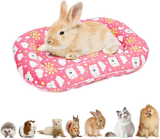 1 Pack 15.3x10.6x1.96in Washable Dual-Sided Soft Small Pet Cushion Mat Bed with Pillow Around for Puppy Kitten Sleeping Beds for Carrier Crate Small Dog Rabbits 0-3.3lb Pink
