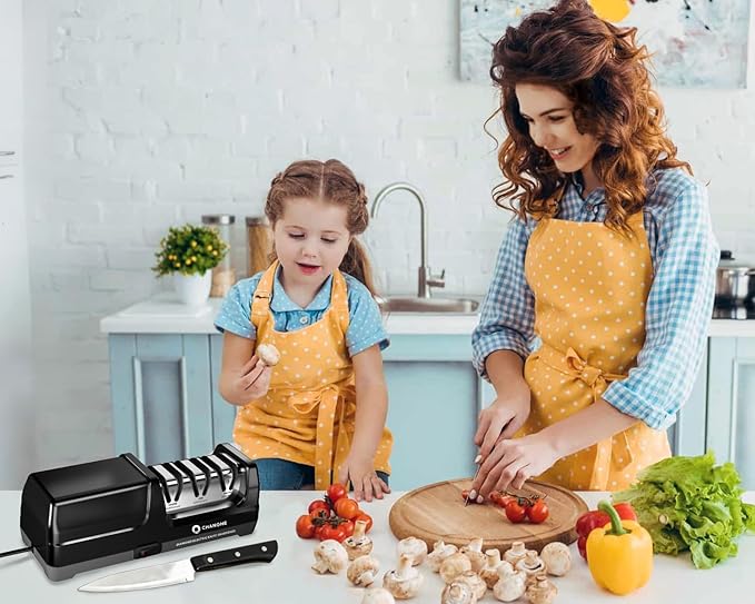 Electric Kitchen Knife Sharpener,3 Stages Diamond Abrasives of 360 Grit,600 Grit and 1000 Grit for Sharpening Stainless Steel Knives and Ceramic Knives, for Kitchens and Restaurants (20° Angle)