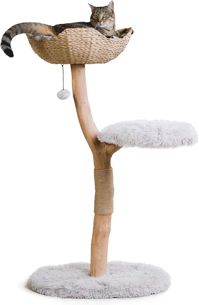MAU LIFESTYLE Modern Wooden Cat Tree Tower - Single Branch Cat Condo, Cat Climbing Furniture, Gift for Cat Lovers - Bullet Gray