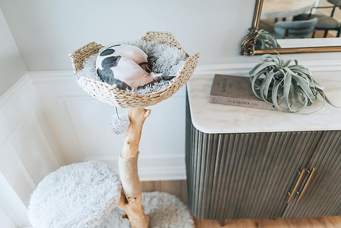 MAU LIFESTYLE Modern Wooden Cat Tree Tower - Single Branch Cat Condo, Cat Climbing Furniture, Gift for Cat Lovers - Bullet Gray