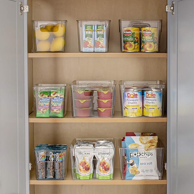 Sorbus Small Clear Plastic Storage Bins for Shelves, Clothes, with Handle - Clear Storage Bins, Drawer, Shelf, Closet, Pantry, Fridge, Freezer Organizer Bins, Closet Organizers and Storage (2 pack)