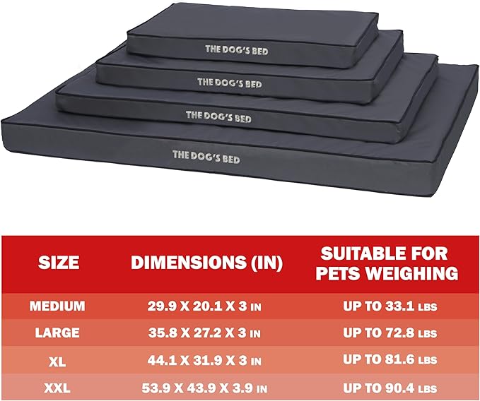 The Dog’s Bed Orthopedic Dog Bed, Large Grey with Black Trim, Waterproof, Supportive Dog Bed with Washable Replaceable Covers