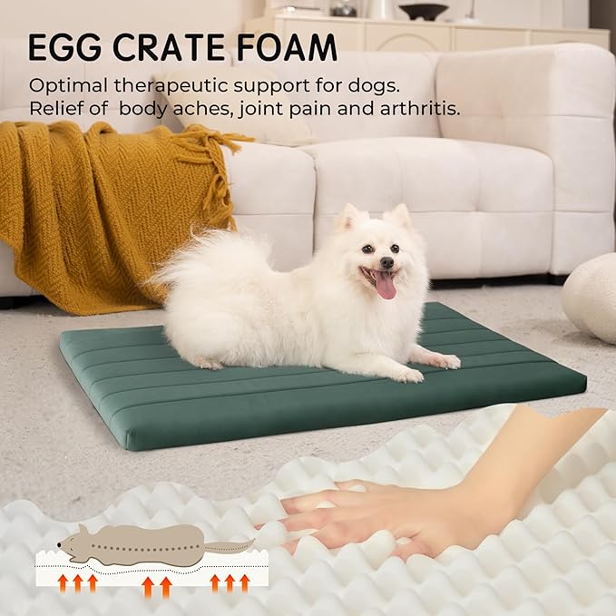 BALANCE Dog Crate Bed, Orthopedic Dog Bed Pad with Waterproof Liner, Washable Crate Foam Pet Mat for Large, Medium, Puppy Dogs Breeds, Mint Leaf, 36“x23”x1.6“