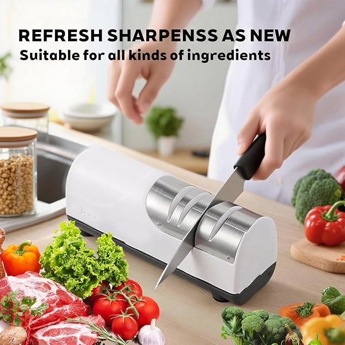 Electric Knife Sharpener Professional 2-Stage with 20 Degree Angle Control Diamond Abrasive and Magnetic System for Kitchen Knives