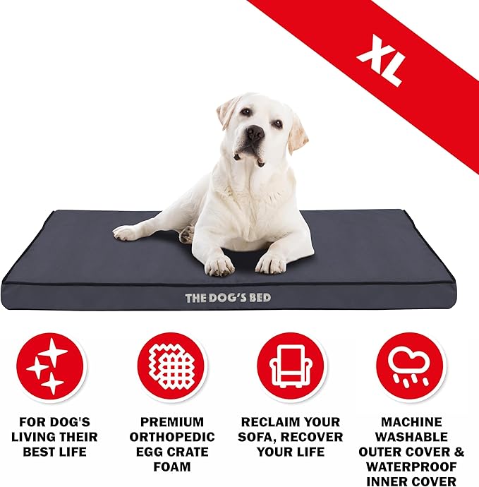 The Dog’s Bed Orthopedic Dog Bed, XL Grey with Black Trim, Waterproof, Supportive Dog Bed with Washable Replaceable Covers