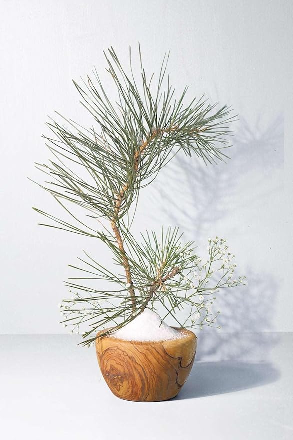 Luxury Reed Diffuser| True Hue | 3.75 fl oz | Glass and Rattan | Lasts for 2-3 Months | Fragrance Diffusers for Home | Handmade in USA (Crushed Salt + Mist)