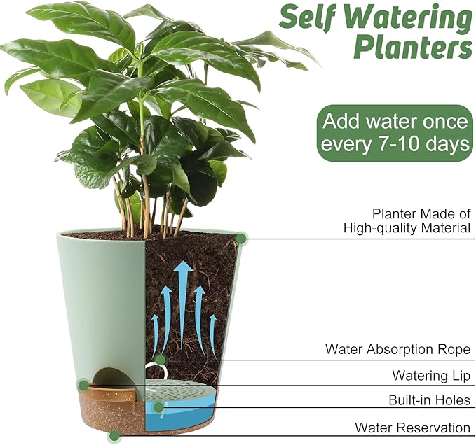 Indoor Self Watering Planters with Drainage Holes and Saucers, 8, 7, 6.5, 6, 5.5, 5 Inches, Green, 6 Pots.