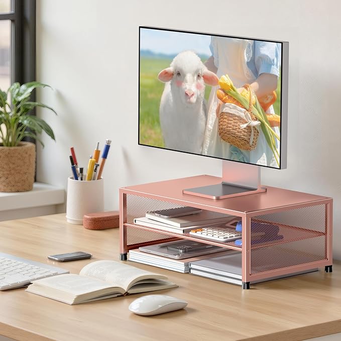 Desk Organizers and Accessories, 2-Tier Metal Computer Monitor Stand Riser, Desk Organizer for Monitor, Printer & Laptop Stand, Desktop Workspace Organizers for Office Supplies(Rose Gold)