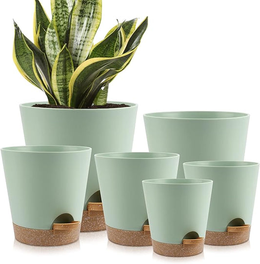 Indoor Self Watering Planters with Drainage Holes and Saucers, 8, 7, 6.5, 6, 5.5, 5 Inches, Green, 6 Pots.