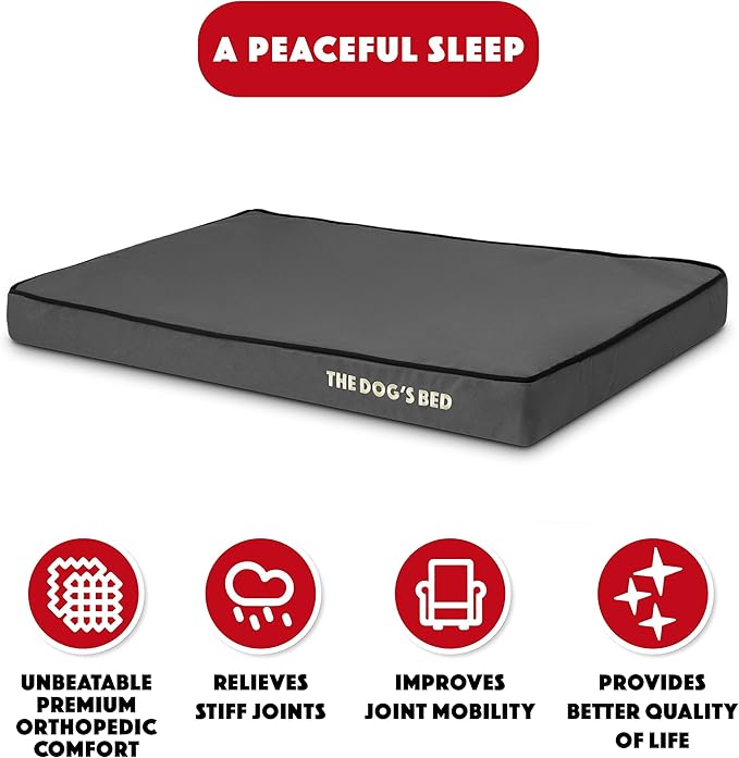 The Dog’s Bed Orthopedic Memory Foam Dog Bed, Medium Grey & Black, Waterproof, Supportive Dog Bed with Replaceable Covers