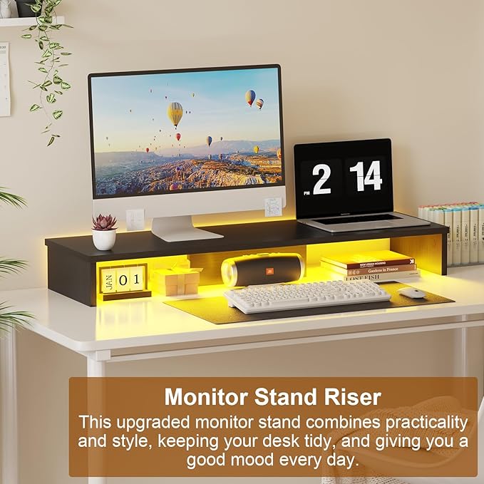 Dual Monitor Stand Riser for Desk with LED Lights, Large Computer Monitor Stand for 2 Monitors, Desk Shelf for Top of Desk, Desktop Organizer for Computer, Laptop, Printer, TV