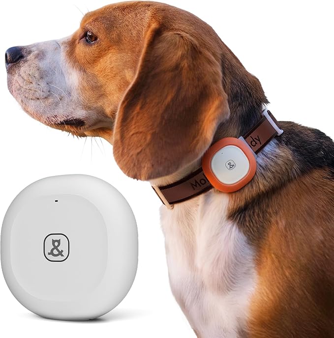 14L Automatic Dog Feeder for Large Breed with Stainless Steel Bowl and Molly&Cody GPS + Bluetooth Pet Tracker for Cats & Dogs – Real‑Time Tracking, Virtual Fence, IP67 Waterproof, Up to 60‑Day Battery