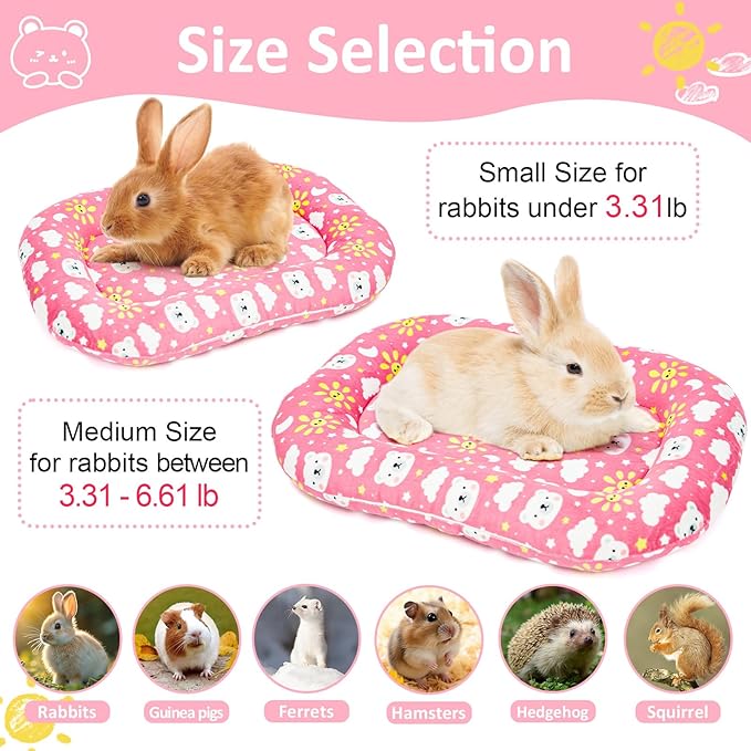 1 Pack 15.3x10.6x1.96in Washable Dual-Sided Soft Small Pet Cushion Mat Bed with Pillow Around for Puppy Kitten Sleeping Beds for Carrier Crate Small Dog Rabbits 0-3.3lb Pink