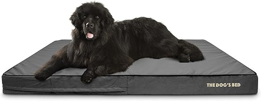 The Dog’s Bed Orthopedic Memory Foam Dog Bed, XXXL Grey & Black, Waterproof, Supportive Dog Bed with Replaceable Covers