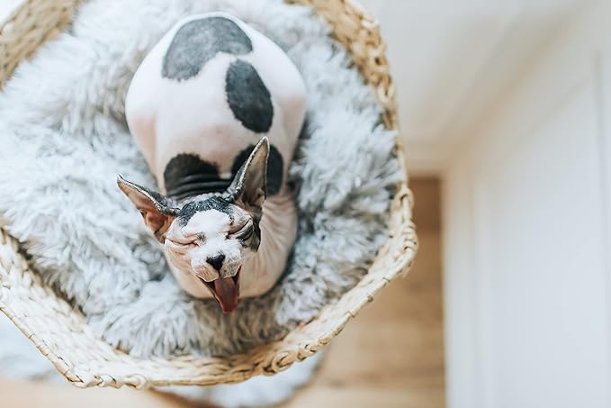 MAU LIFESTYLE Modern Wooden Cat Tree Tower - Single Branch Cat Condo, Cat Climbing Furniture, Gift for Cat Lovers - Bullet Gray