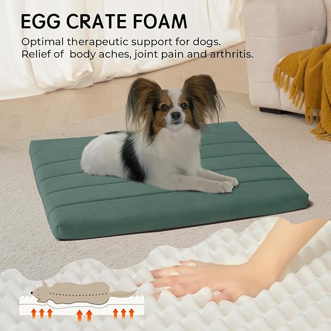 BALANCE Dog Crate Bed, Orthopedic Dog Bed Pad with Waterproof Liner, Washable Crate Foam Pet Mat for Large, Medium, Puppy Dogs Breeds, Mint Leaf, 24"x18"x1.6"