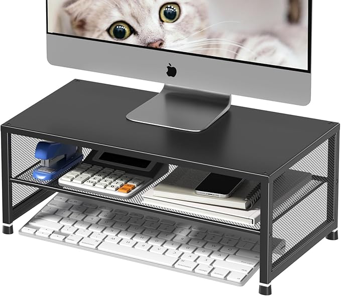 Desk Organizers and Accessories, 2-Tier Metal Computer Monitor Stand Riser, Desk Organizer for Monitor, Printer & Laptop Stand, Desktop Workspace Organizers for Office Supplies(Black)