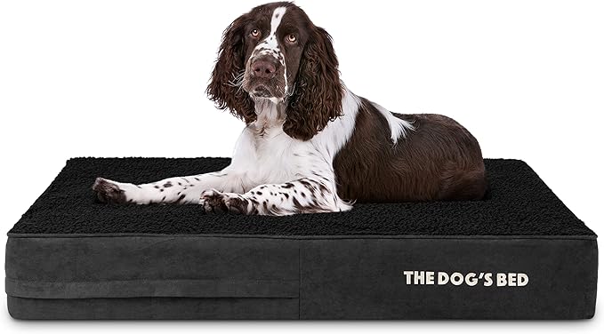 The Dog’s Bed Orthopedic Memory Foam Dog Bed, Large Black Plush 40x25, Pain Relief for Arthritis, Hip & Elbow Dysplasia, Post Surgery, Lameness, Supportive, Calming, Waterproof Washable Cover