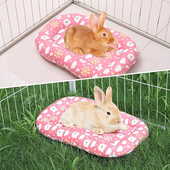 1 Pack 15.3x10.6x1.96in Washable Dual-Sided Soft Small Pet Cushion Mat Bed with Pillow Around for Puppy Kitten Sleeping Beds for Carrier Crate Small Dog Rabbits 0-3.3lb Pink