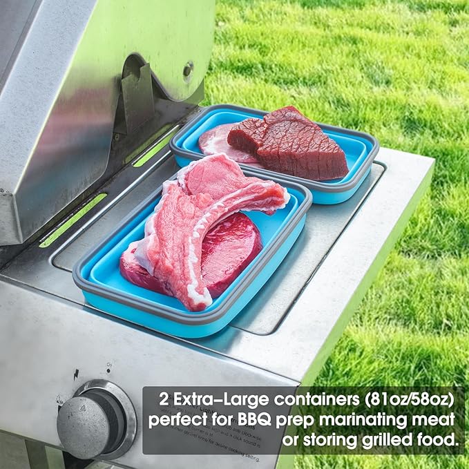 Collapsible Food Storage Containers with Lids 10 Pack(81oz/58oz Extra Large Included), 6 Rectangular+4 Round, Annaklin Silicone Collapsible Food Containers Sets Microwave Freezer Dishwasher Safe, Blue