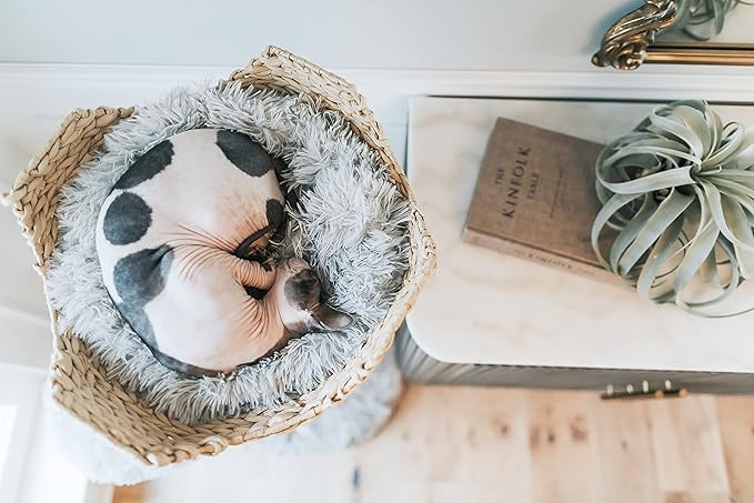 MAU LIFESTYLE Modern Wooden Cat Tree Tower - Single Branch Cat Condo, Cat Climbing Furniture, Gift for Cat Lovers - Bullet Gray