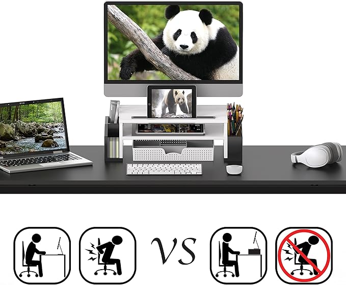 SIMPLE HOUSEWARE Desk Monitor Stand Riser with Adjustable Organizer Tray, Dual Tone - Black / White