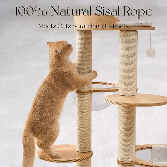 797Audio Modern Solid Wood Cat Tree Tower, 54" Tall Cat Tree with Sisal Scratching Posts, Capsule&Hammock,Natural Oak Wooden Cat Tower,Aesthetic Multi-Level Cat Climbing Tree for Large Indoor Cats