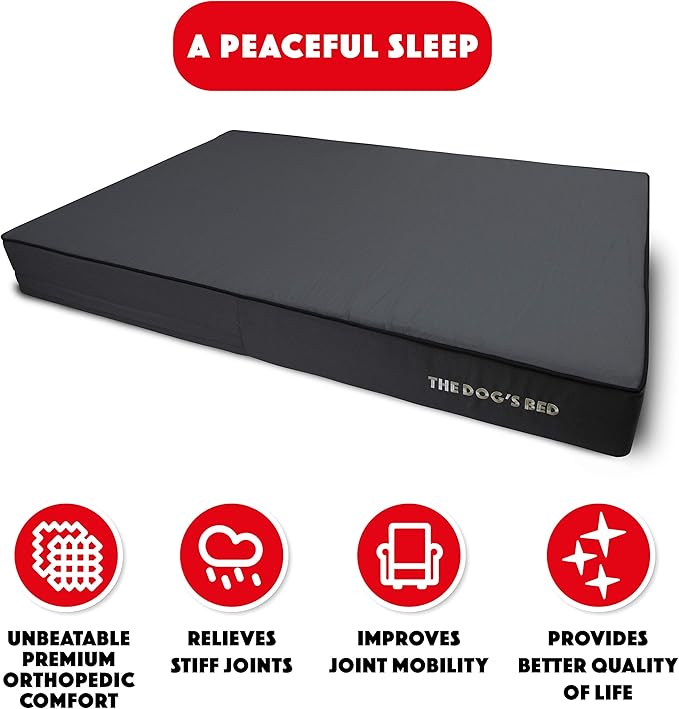 The Dog’s Bed Orthopedic Memory Foam Dog Bed, XXL Grey & Black, Waterproof, Supportive Dog Bed with Replaceable Covers