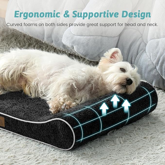 Orthopedic Dog Bed for Small Dogs up to 35 lbs - Removable Washable Cover with Waterproof Lining & Non-Skid Bottom, Cotton-Polyester Blend Boat-Shaped Lounger Mattress, S(30x20x5in), Black